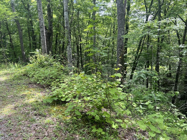 LOT1 4-6 Old Cartertown Rd, Gatlinburg, TN 37738 - photo 4