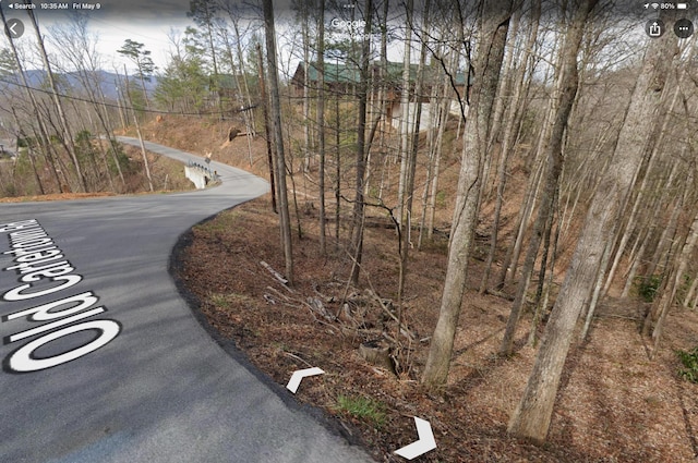 LOT1 4-6 Old Cartertown Rd, Gatlinburg, TN 37738 - photo 18