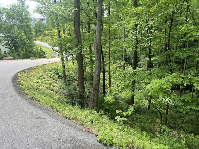 LOT1 4-6 Old Cartertown Rd, Gatlinburg, TN 37738 - photo 12