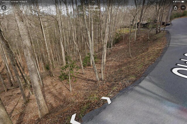 LOT1 4-6 Old Cartertown Rd, Gatlinburg, TN 37738 - photo 19
