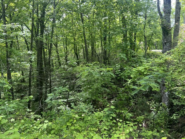 LOT1 4-6 Old Cartertown Rd, Gatlinburg, TN 37738 - photo 5