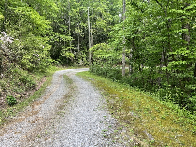 LOT1 4-6 Old Cartertown Rd, Gatlinburg, TN 37738 - photo 7