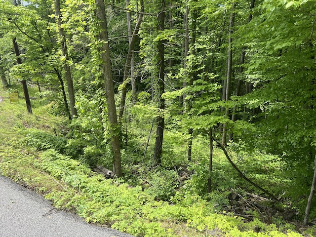 LOT1 4-6 Old Cartertown Rd, Gatlinburg, TN 37738 - photo 11