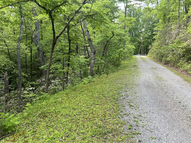 LOT1 4-6 Old Cartertown Rd, Gatlinburg, TN 37738 - photo 9