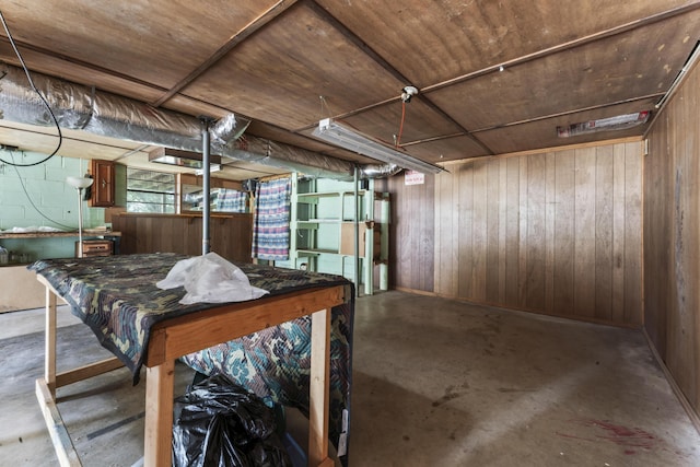 basement with wooden walls and wooden ceiling