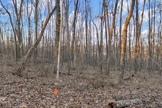 LOT7 Walker Rd, Sharps Chapel, TN 37866 - photo 8
