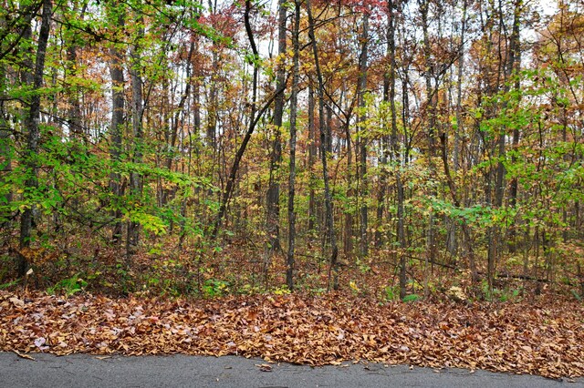 LOT7 Walker Rd, Sharps Chapel, TN 37866 - photo 4