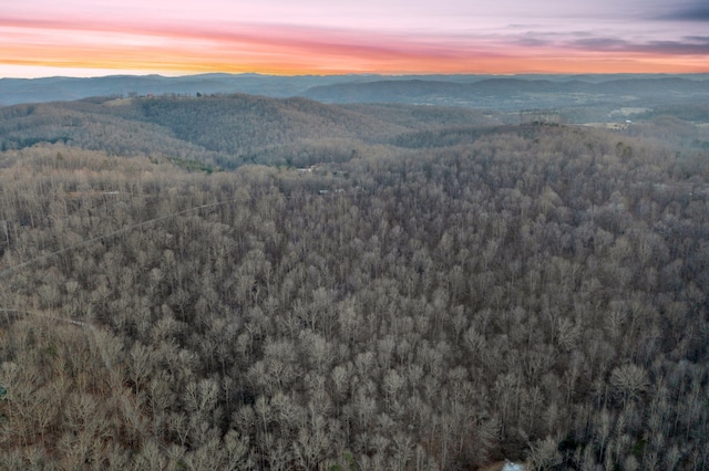 LOT7 Walker Rd, Sharps Chapel, TN 37866 - photo 2