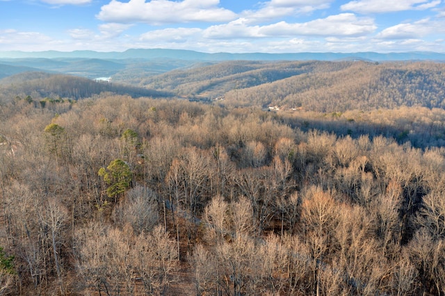 LOT7 Walker Rd, Sharps Chapel, TN 37866 - photo 10