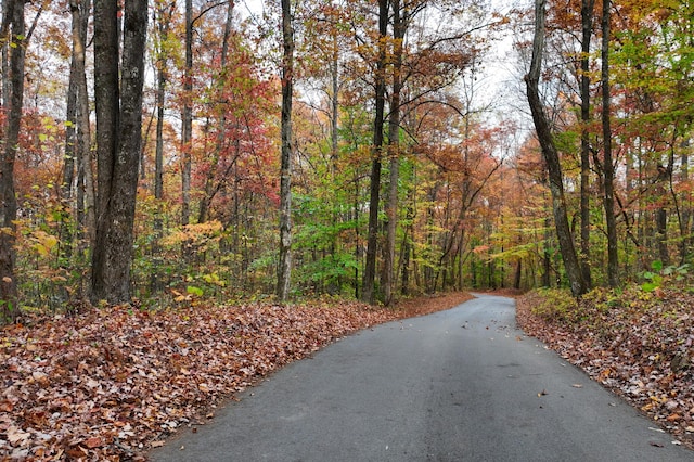 LOT7 Walker Rd, Sharps Chapel, TN 37866 - photo 9
