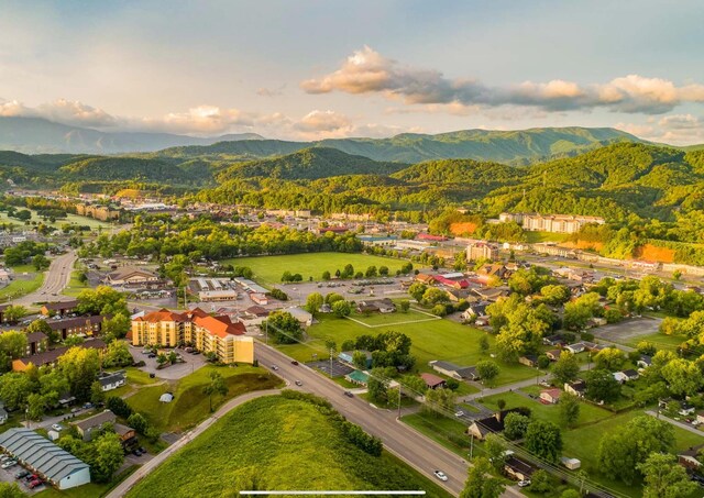 225 Collier Dr, Sevierville, TN 37862 - photo 47