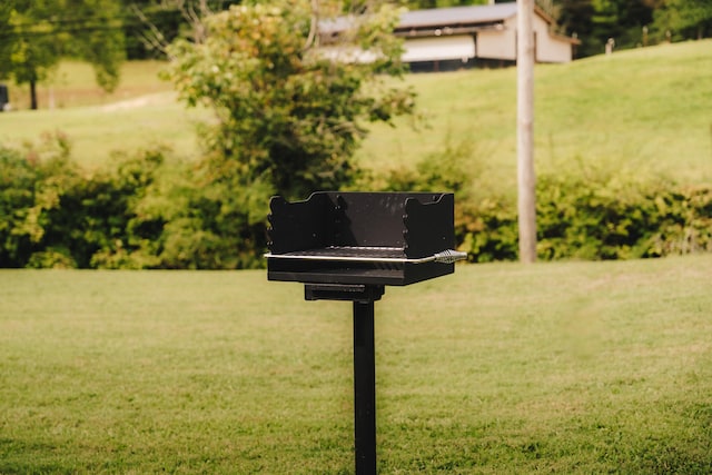 3501 Grassy Fork Rd, Hartford, TN 37753 - view of grassy yard