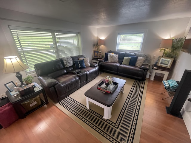 living room featuring wood finished floors