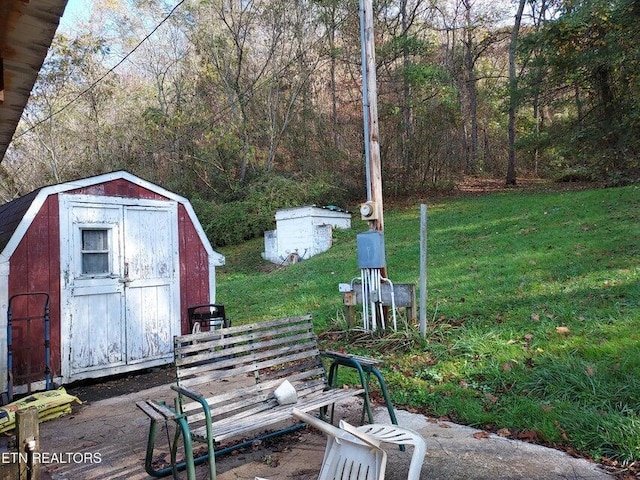 view of yard with a shed