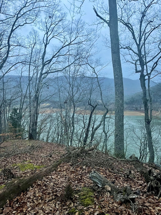 LOT52 Hickory Knoll Cir, Whitesburg TN, 37891 land for sale