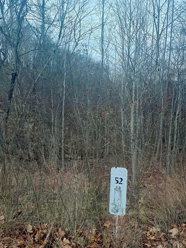 Listing photo 3 for LOT52 Hickory Knoll Cir, Whitesburg TN 37891