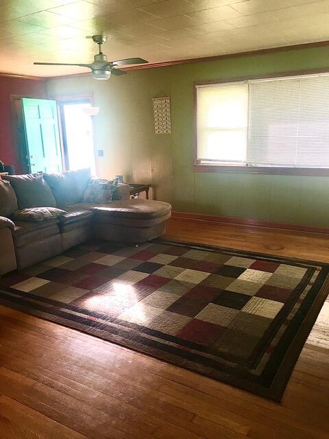 living room with ceiling fan and dark wood-type flooring