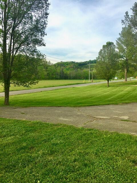 view of community with a yard