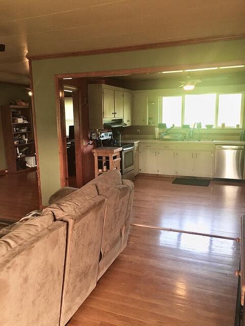 kitchen with sink, stainless steel appliances, green cabinets, light hardwood / wood-style floors, and ornamental molding