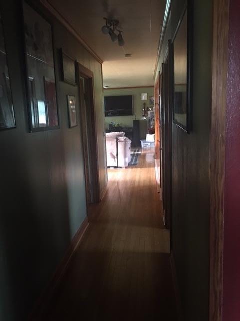 hall featuring hardwood / wood-style flooring and crown molding