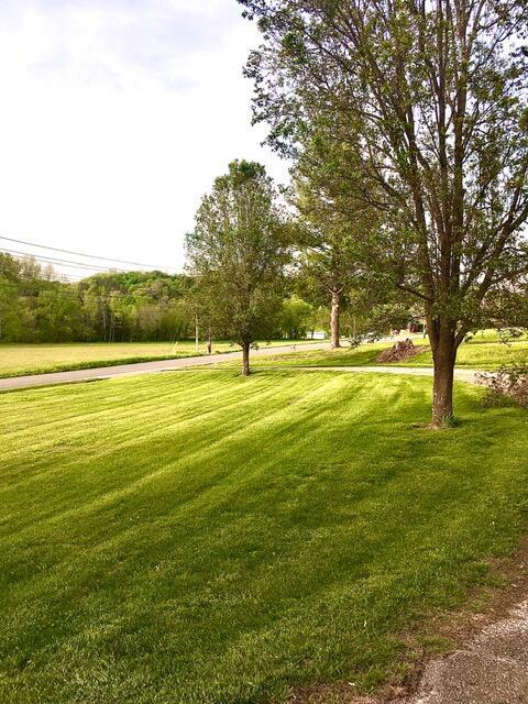 view of property's community with a yard