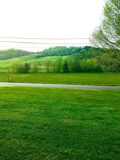 view of yard with a rural view