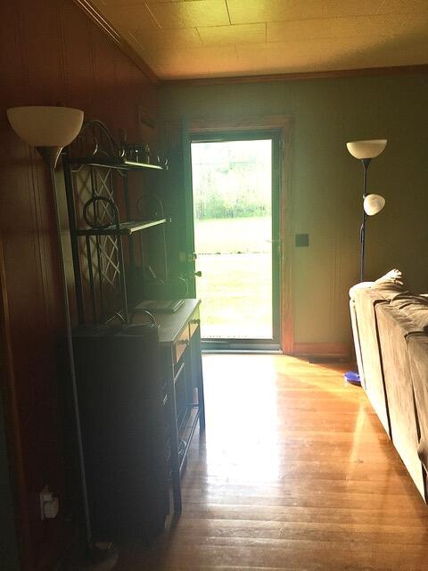 doorway to outside featuring wood-type flooring