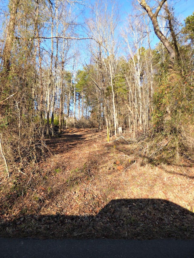 LOT13 Back Nine Dr, Baneberry TN, 37890 land for sale