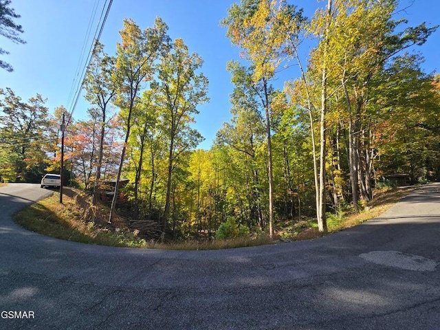 Listing photo 2 for LOT6 Scenic Trl, Gatlinburg TN 37738