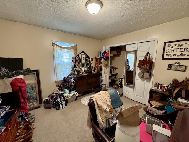 interior space featuring carpet flooring, a textured ceiling, and a closet