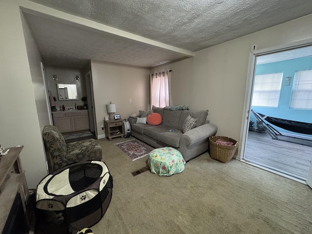 living room with carpet flooring and a textured ceiling