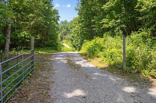view of street featuring a view of trees and a gated entry