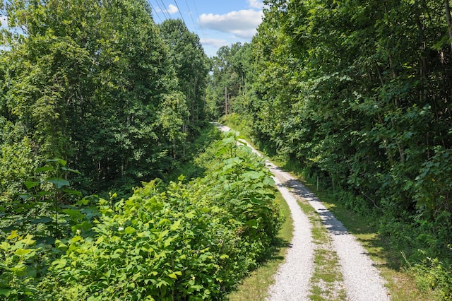 view of road featuring a wooded view