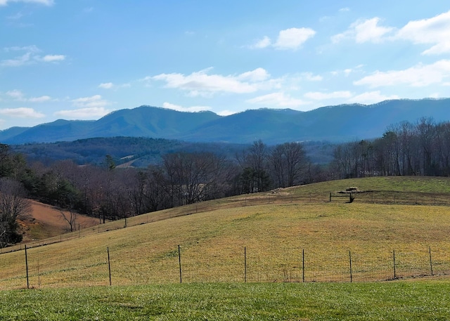 7545 Cedar Creek Rd, Greeneville, TN 37743 - photo 78