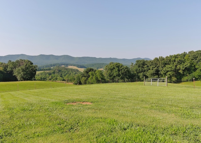 7545 Cedar Creek Rd, Greeneville, TN 37743 - photo 81