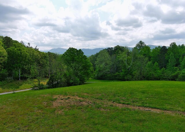 7545 Cedar Creek Rd, Greeneville, TN 37743 - photo 58