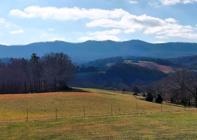7545 Cedar Creek Rd, Greeneville, TN 37743 - photo 82