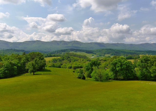 7545 Cedar Creek Rd, Greeneville, TN 37743 - photo 55
