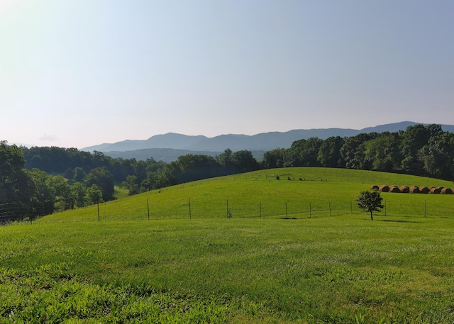 7545 Cedar Creek Rd, Greeneville, TN 37743 - photo 79