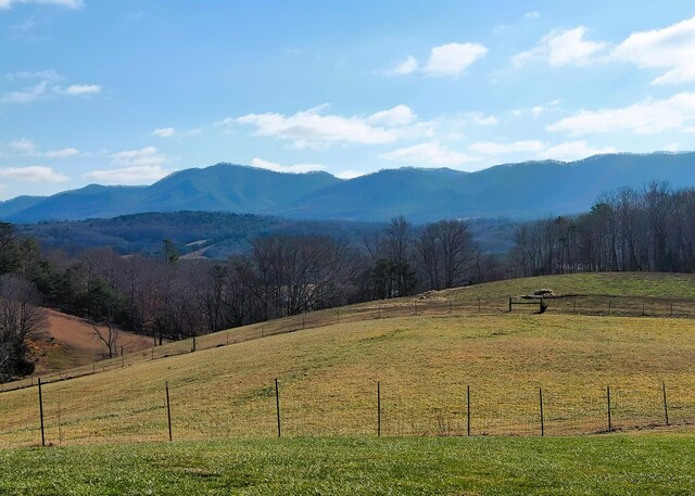 7545 Cedar Creek Rd, Greeneville, TN 37743 - photo 84