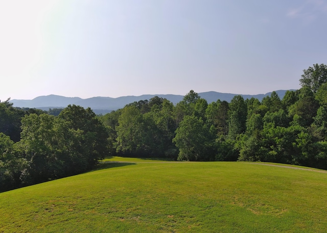 7545 Cedar Creek Rd, Greeneville, TN 37743 - photo 61