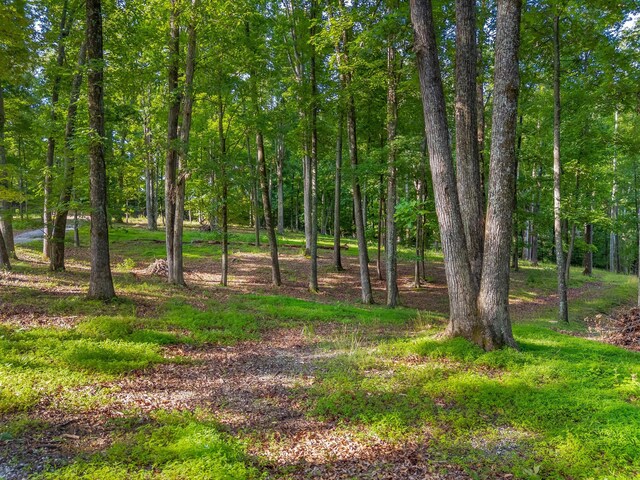 463 Heather Brook Dr, Jefferson City, TN 37760 - photo 15