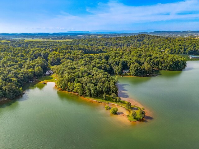463 Heather Brook Dr, Jefferson City, TN 37760 - photo 21