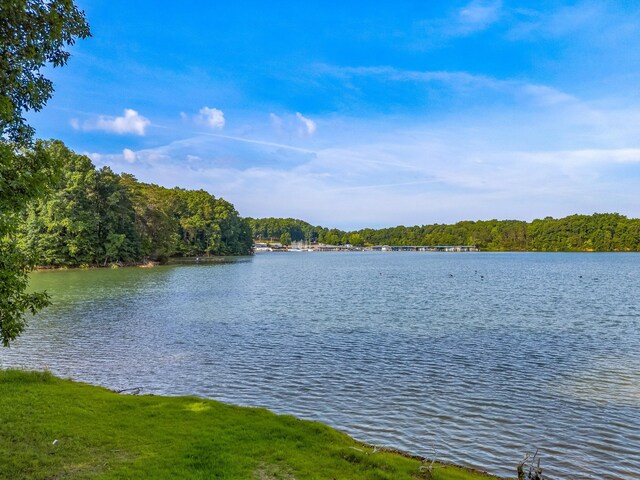 463 Heather Brook Dr, Jefferson City, TN 37760 - photo 24