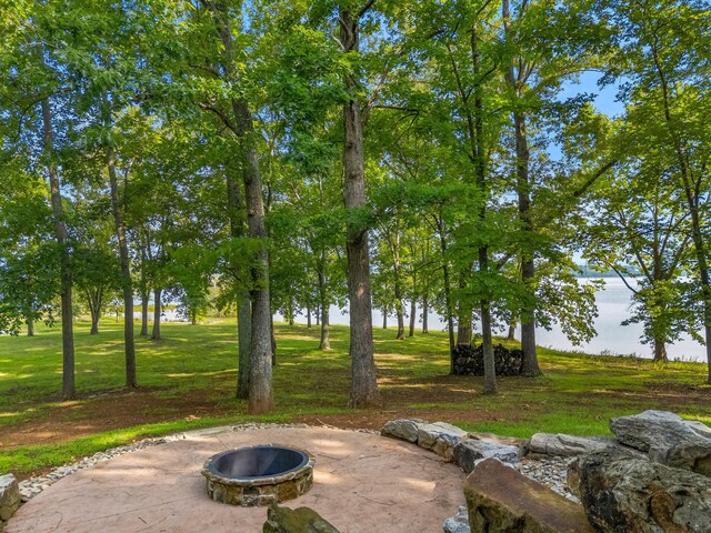 463 Heather Brook Dr, Jefferson City, TN 37760 - photo 16