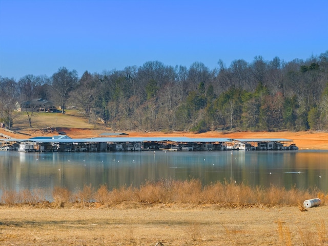 463 Heather Brook Dr, Jefferson City, TN 37760