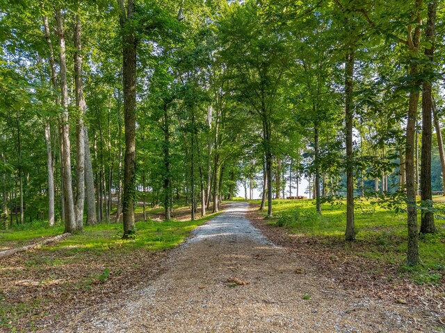 463 Heather Brook Dr, Jefferson City, TN 37760 - photo 26