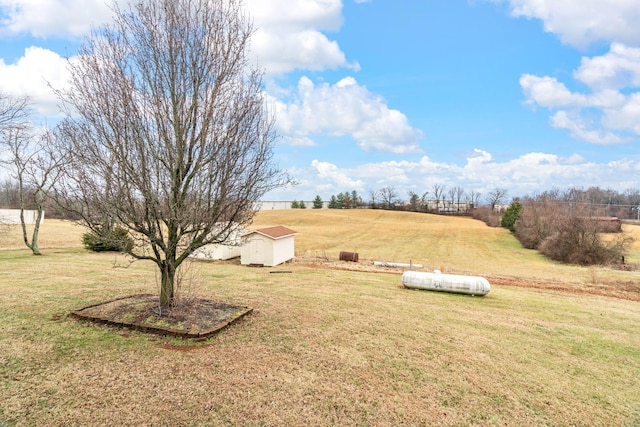 view of yard featuring a rural view and a shed