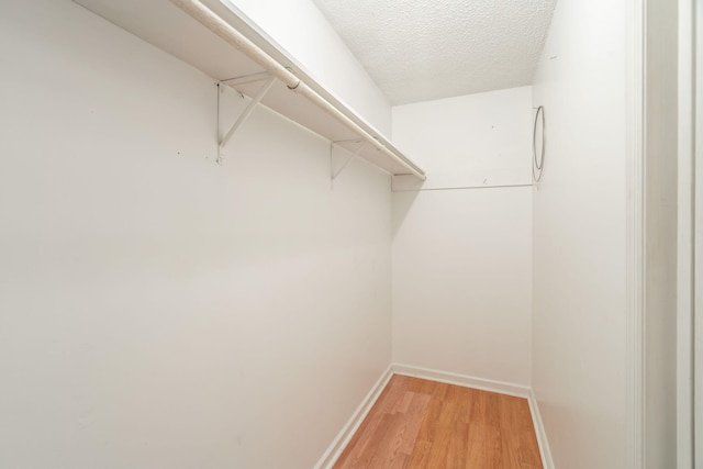 walk in closet featuring light hardwood / wood-style floors