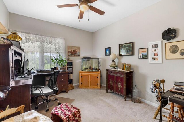 446 Gaut Rd, Dandridge, TN 37725